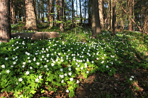 8751298872_99ef0b1a59_o