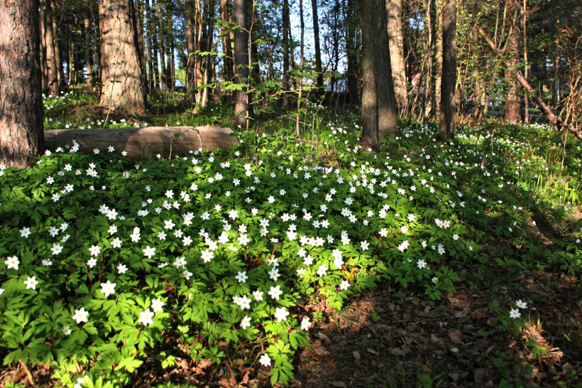 8751298872_99ef0b1a59_o