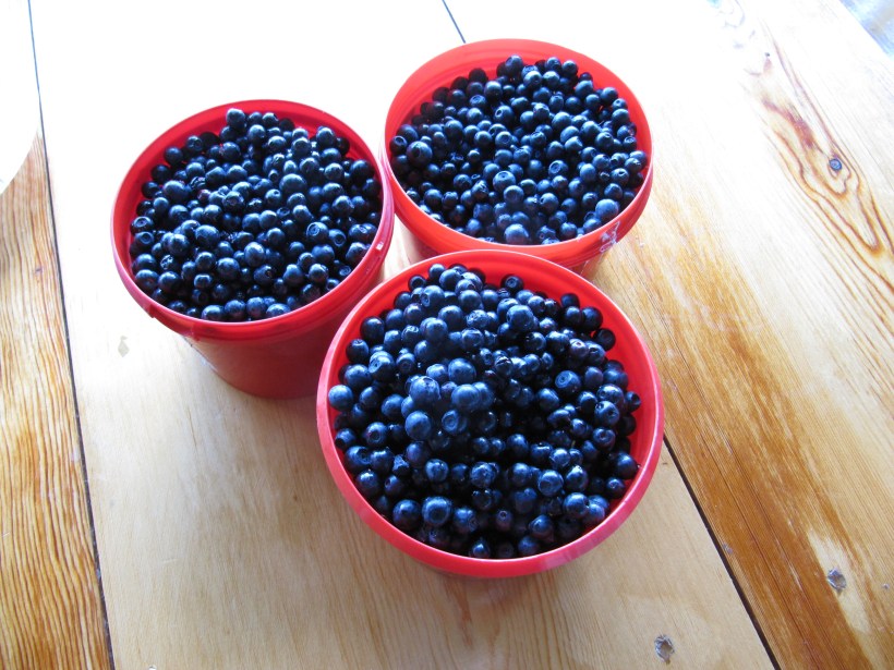 3849146614_753df193ac_o